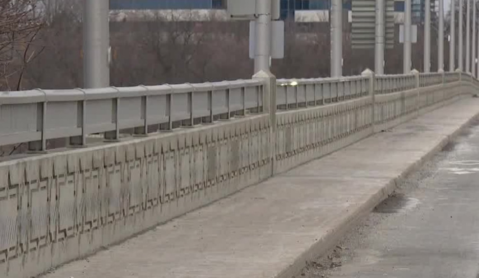 DVP Suicide Death - Man Jumped From Bridge In Toronto